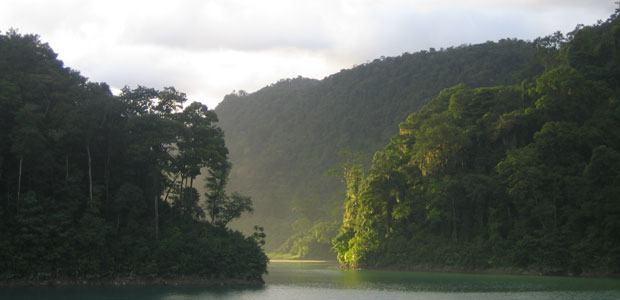 코스타리카의 녹색경제와 환경보호 (Costa Rica's Green Economy).jpg