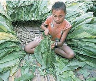 좋은 일자리(decent work) 정책이 빈곤국가의 아동 노동을 감소시킵니다2.JPG