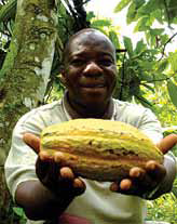 생산성과 수익성을 개선하는 가나(Ghana)의 코코아 파트너십 1.png